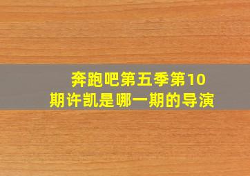 奔跑吧第五季第10期许凯是哪一期的导演