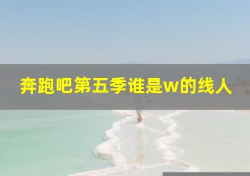 奔跑吧第五季谁是w的线人