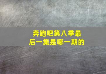 奔跑吧第八季最后一集是哪一期的