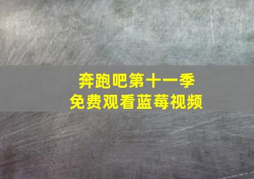 奔跑吧第十一季免费观看蓝莓视频