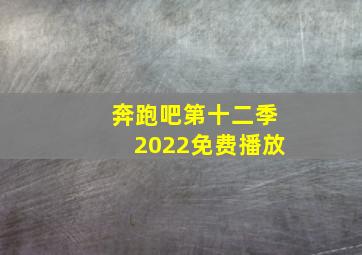 奔跑吧第十二季2022免费播放