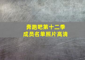 奔跑吧第十二季成员名单照片高清