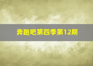 奔跑吧第四季第12期