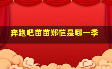 奔跑吧苗苗郑恺是哪一季