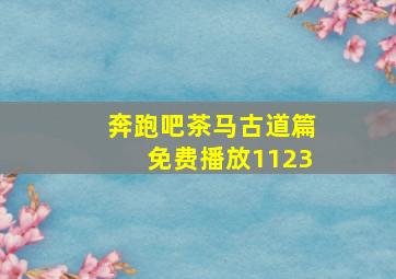 奔跑吧茶马古道篇免费播放1123