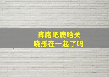 奔跑吧鹿晗关晓彤在一起了吗