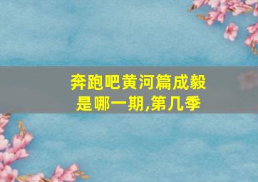 奔跑吧黄河篇成毅是哪一期,第几季