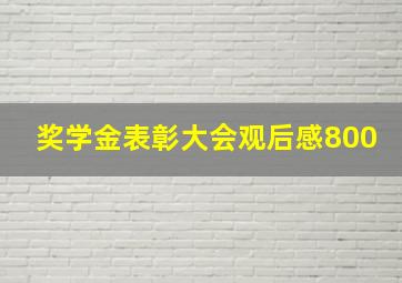 奖学金表彰大会观后感800