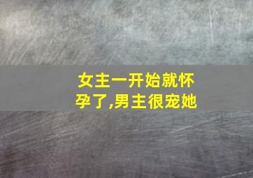 女主一开始就怀孕了,男主很宠她