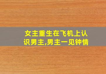 女主重生在飞机上认识男主,男主一见钟情