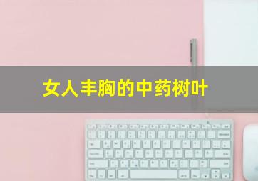 女人丰胸的中药树叶