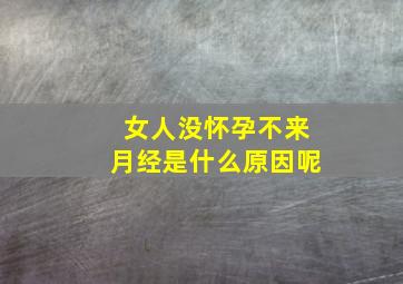 女人没怀孕不来月经是什么原因呢