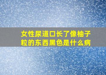 女性尿道口长了像柚子粒的东西黑色是什么病