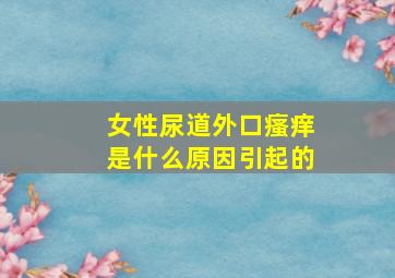 女性尿道外口瘙痒是什么原因引起的