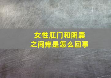 女性肛门和阴囊之间痒是怎么回事