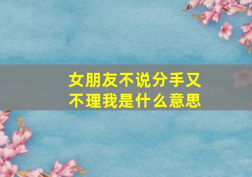 女朋友不说分手又不理我是什么意思