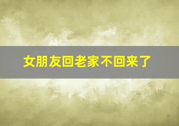 女朋友回老家不回来了