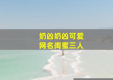 奶凶奶凶可爱网名闺蜜三人