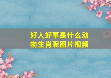 好人好事是什么动物生肖呢图片视频