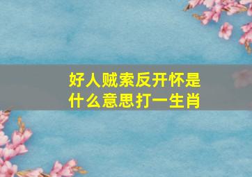 好人贼索反开怀是什么意思打一生肖