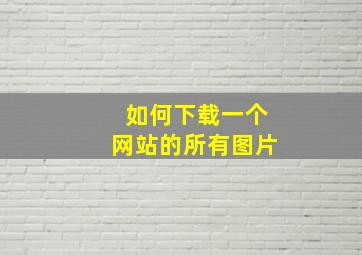 如何下载一个网站的所有图片