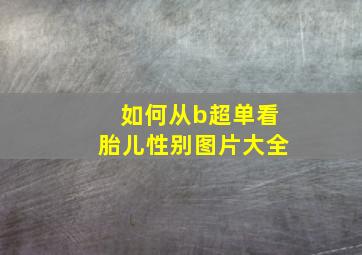 如何从b超单看胎儿性别图片大全