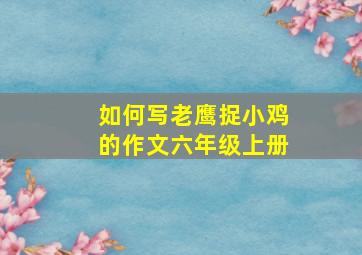 如何写老鹰捉小鸡的作文六年级上册