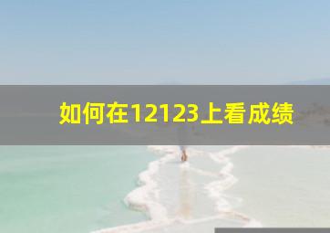 如何在12123上看成绩