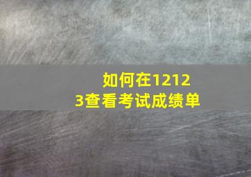 如何在12123查看考试成绩单