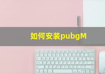 如何安装pubgM