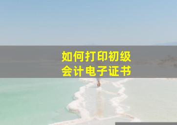 如何打印初级会计电子证书