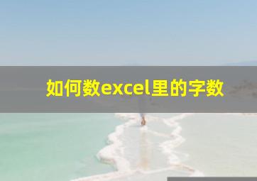 如何数excel里的字数