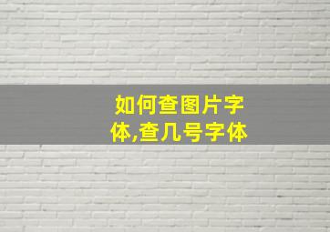 如何查图片字体,查几号字体