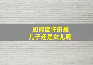 如何查怀的是儿子还是女儿呢