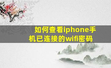 如何查看iphone手机已连接的wifi密码