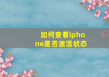 如何查看iphone是否激活状态