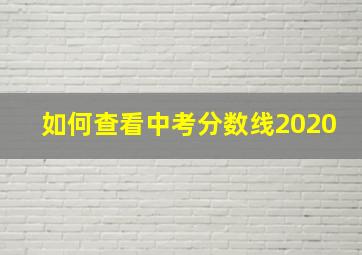 如何查看中考分数线2020