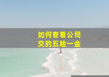 如何查看公司交的五险一金