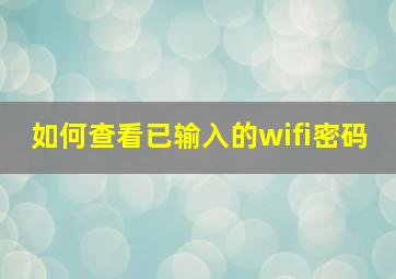 如何查看已输入的wifi密码