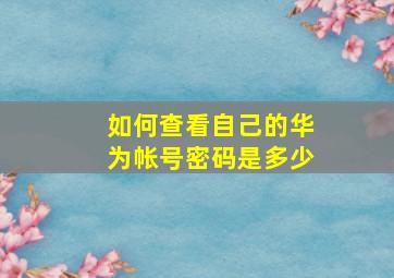 如何查看自己的华为帐号密码是多少