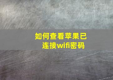 如何查看苹果已连接wifi密码