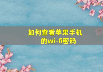 如何查看苹果手机的wi-fi密码