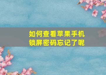 如何查看苹果手机锁屏密码忘记了呢