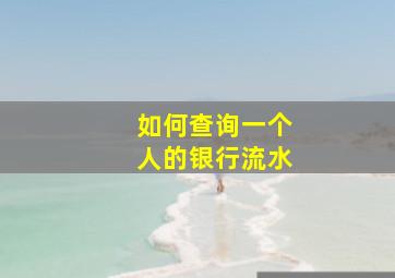 如何查询一个人的银行流水