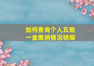 如何查询个人五险一金缴纳情况明细