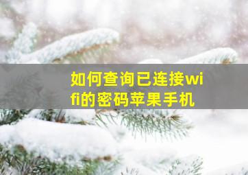 如何查询已连接wifi的密码苹果手机