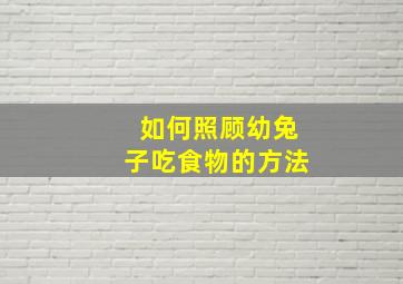 如何照顾幼兔子吃食物的方法