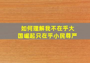 如何理解我不在乎大国崛起只在乎小民尊严