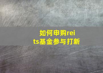 如何申购reits基金参与打新