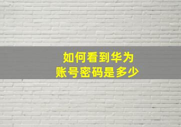 如何看到华为账号密码是多少